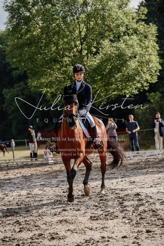 DSC_8479 | Pferde- und Turnierfotografie in Westsachsen. Pferdeportraits, Auftragszeichnungen und intuitive Kunst.