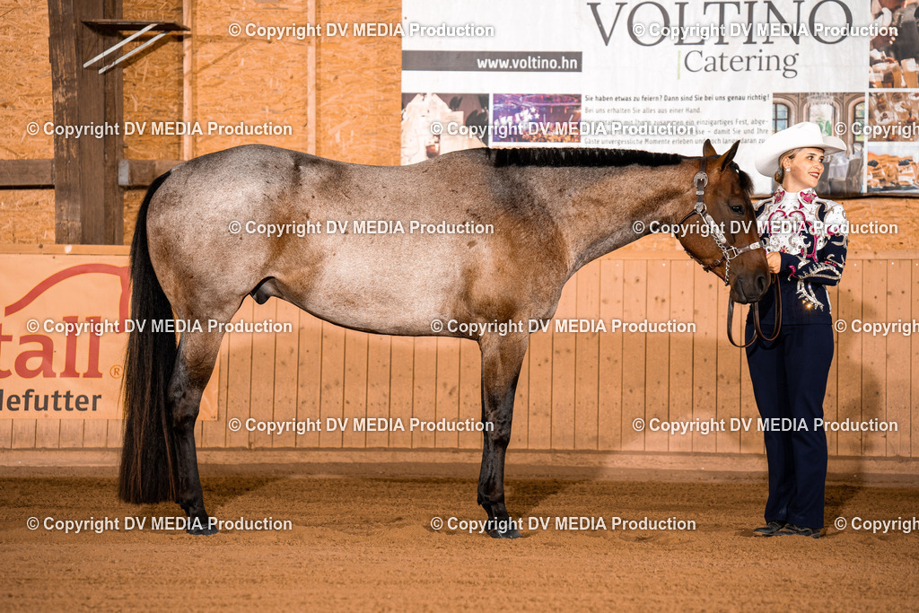 NE100063 | dv-media-shop - Realisiert mit Pictrs.com