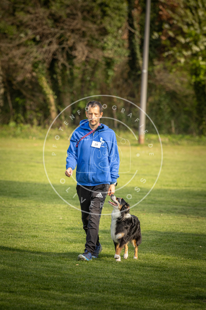 Pfotenfotografie_DV3A4817 | Hundefotografie, Tierfotograf, Pfotenfotografie, Fotoshooting Hund, Hunde Portrait, Hundesport, Hundeportraits, Heideshooting, Hunde, Sportfotograf, Hundefotograf, Turnierhundsport, THS,  - Realisiert mit Pictrs.com