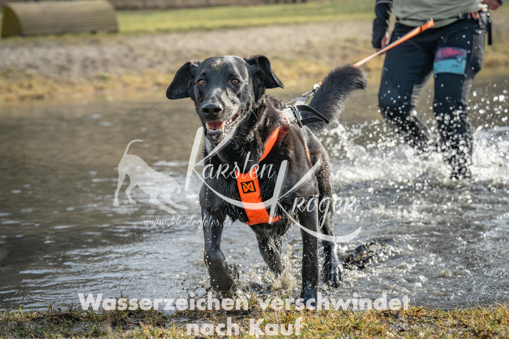 0943_ZZ93109 | kk-dogfotos