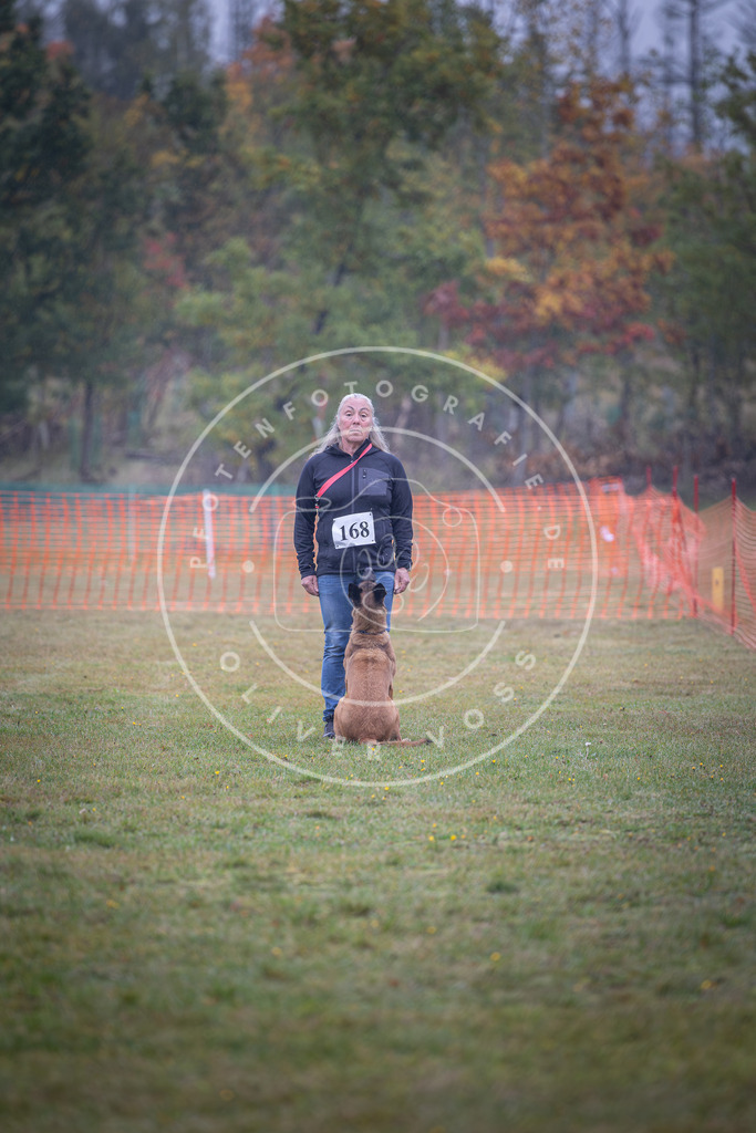Pfotenfotografie_DV3A9037 | Hundefotografie, Tierfotograf, Pfotenfotografie, Fotoshooting Hund, Hunde Portrait, Hundesport, Hundeportraits, Heideshooting, Hunde, Sportfotograf, Hundefotograf, Turnierhundsport, THS,  - Realisiert mit Pictrs.com