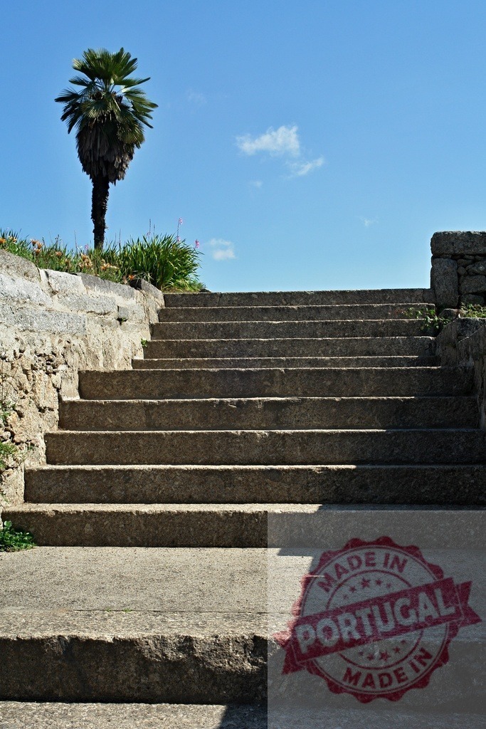 Stone staircase leading up to blue sky. Region Norte - Portugal | Stone steps ascending towards a clear blue sky with a palm tree - Realized with Pictrs.com