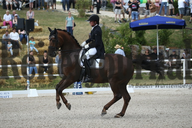 Birkhof_2022_GrandPrixSpecial_Martina Steisslinger_Favory A.S (11) | Alle Fotos der Reiterjournal Fotografin Doris Matthaes im Reiterjournal Online-Fotoshop. - Realisiert mit Pictrs.com
