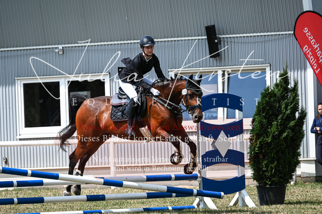 DSC_9437 | Pferde- und Turnierfotografie in Westsachsen. Pferdeportraits, Auftragszeichnungen und intuitive Kunst.