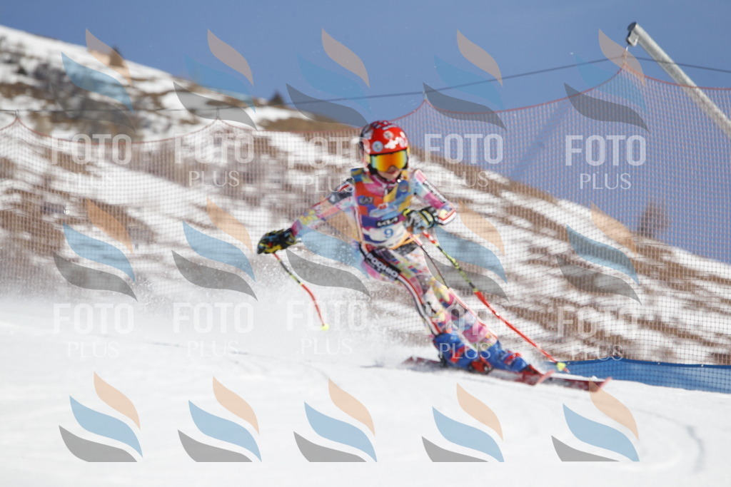 _U3G8764 | holidayphoto