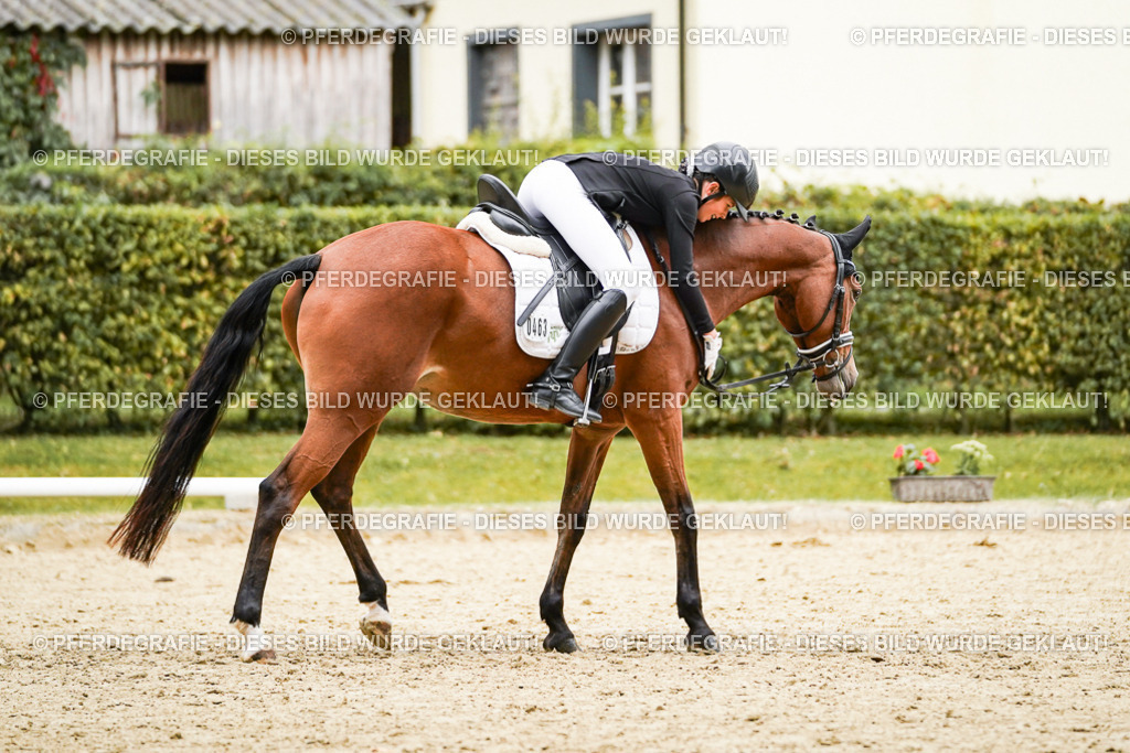 DSC07994 | Pferdegrafie