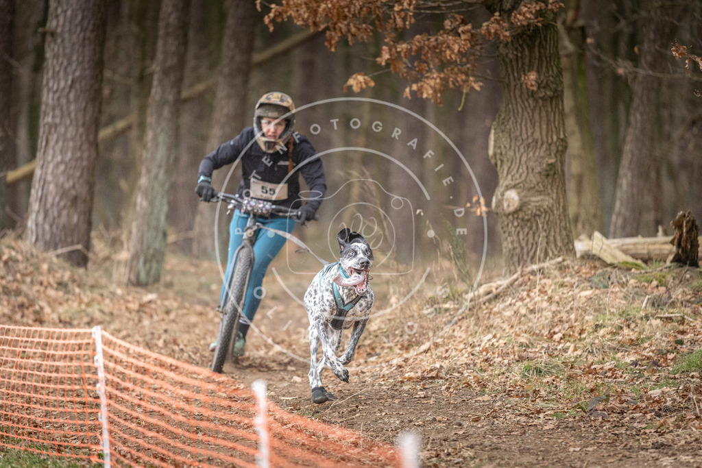 Pfotenfotografie_DV3A1431 | Hundefotografie, Tierfotograf, Pfotenfotografie, Fotoshooting Hund, Hunde Portrait, Hundesport, Hundeportraits, Heideshooting, Hunde, Sportfotograf, Hundefotograf, Turnierhundsport, THS,  - Realisiert mit Pictrs.com