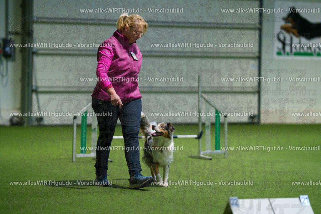7R504144 | Professionelle Tierfotografie in Mönchengladbach von Daniel Wirth (allesWIRTHgut). Liebevolle & natürliche Bilder von Hunden & Katzen für unvergessliche Erinnerungen.