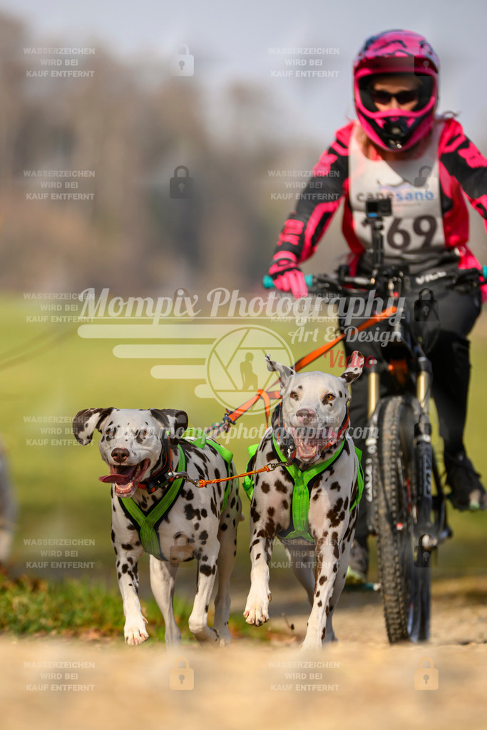 MompixPhotography_6ReiatRennen2026_SA_HappyDog-103 | PayLife