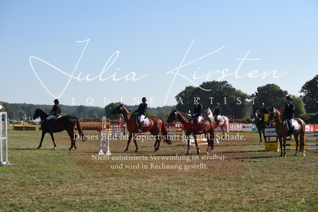 DSC_5431 | Pferde- und Turnierfotografie in Westsachsen. Pferdeportraits, Auftragszeichnungen und intuitive Kunst.