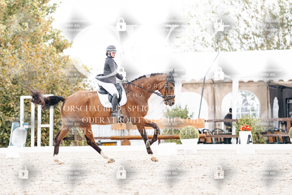 CK900781 | Turnierfotografie Pferdefotografie Trier Rheinland-Pfalz Pferdesport Reitsport Tierfotografie Sportfotografie Pferdevideo Pferdevideografie Equestrianvideography equestrianphotography  - Realisiert mit Pictrs.com