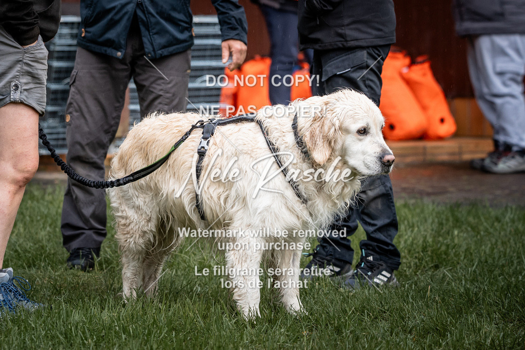 nelerasche_SaAbends_438 | nelerasche