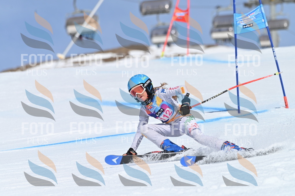 BGV_9668 | holidayphoto