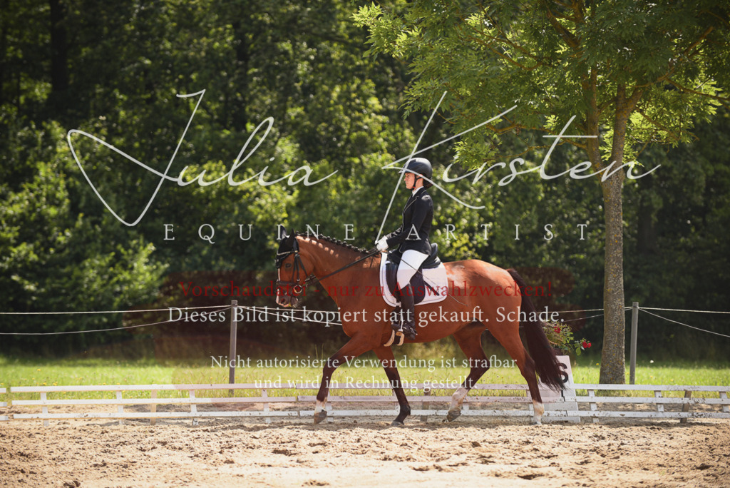 DSC_0904 | Pferde- und Turnierfotografie in Westsachsen. Pferdeportraits, Auftragszeichnungen und intuitive Kunst.