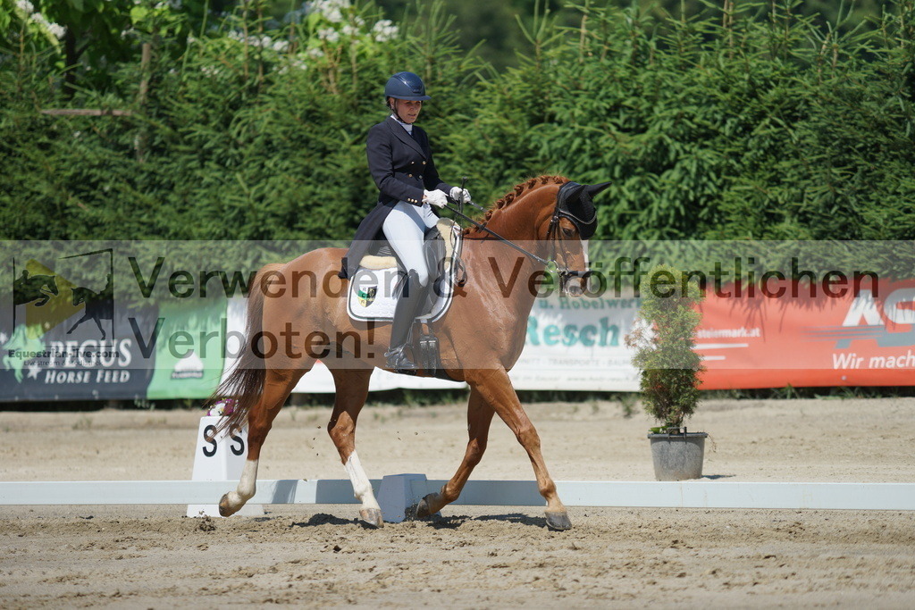 DSC03163 | equestrian-live-com