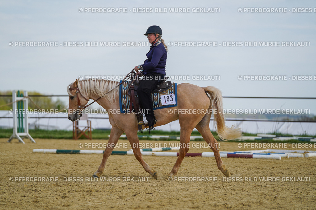 DSC05134 | Pferdegrafie