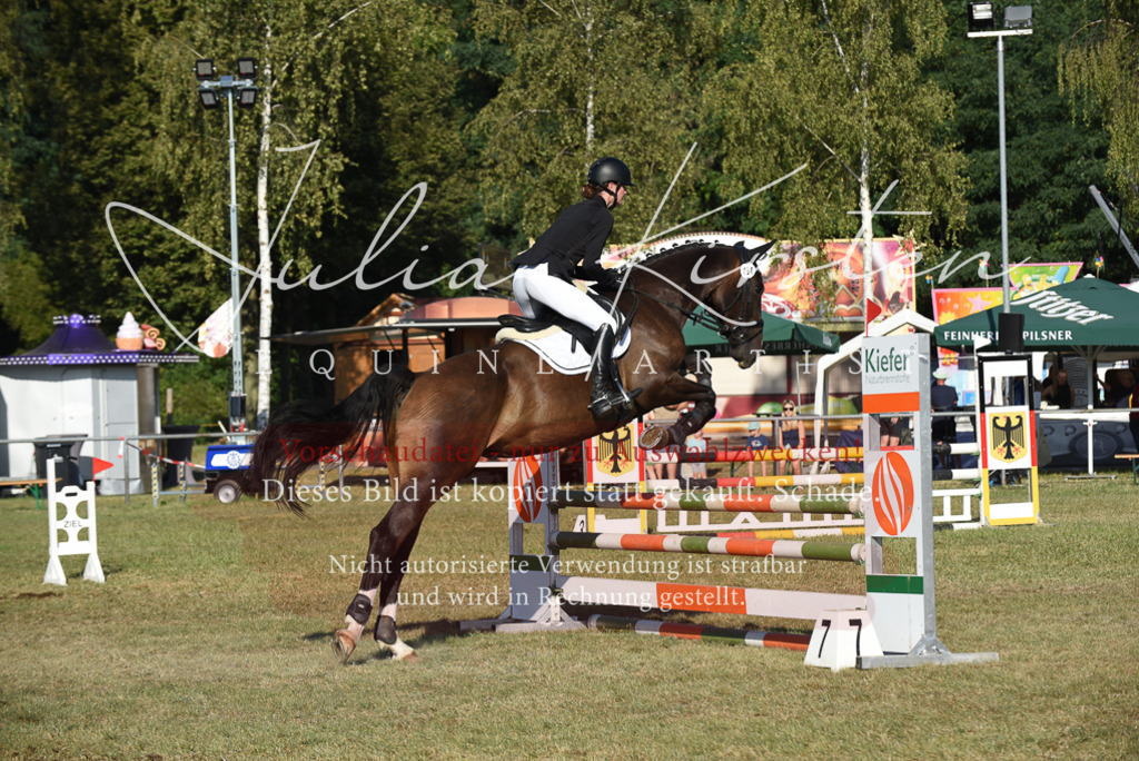 DSC_5144 | Pferde- und Turnierfotografie in Westsachsen. Pferdeportraits, Auftragszeichnungen und intuitive Kunst.