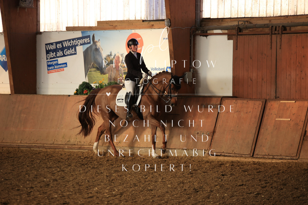 IMGT0432 | pl-fotografie