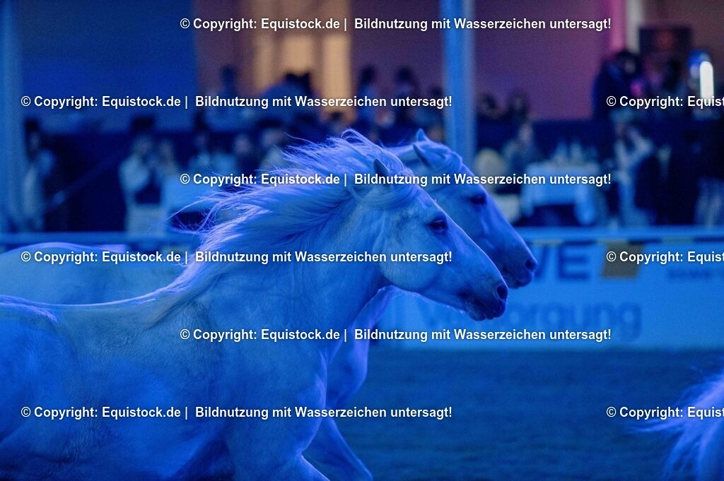 20250606_Lange-Pferdenacht_1052 | Foto: Thomas Hartig