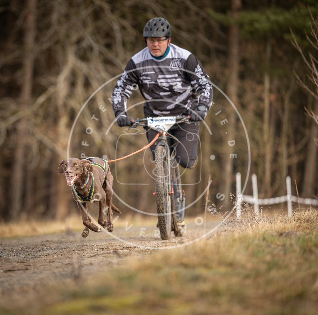 DV3A3451 | Hundefotografie, Tierfotograf, Pfotenfotografie, Fotoshooting Hund, Hunde Portrait, Hundesport, Hundeportraits, Heideshooting, Hunde, Sportfotograf, Hundefotograf, Turnierhundsport, THS,  - Realisiert mit Pictrs.com