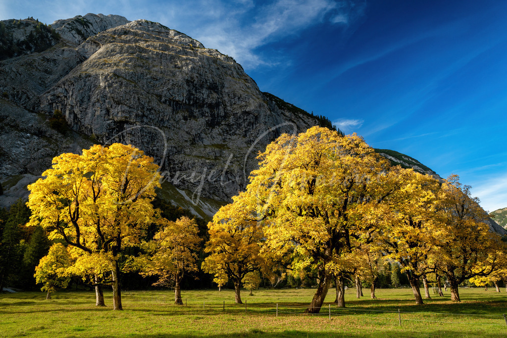 Ahornboden | Herbst am Ahornboden im Karwendel