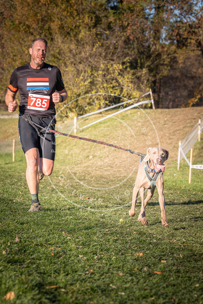 CaniXpix_0L8A0302 | Hundefotografie, Tierfotograf, Pfotenfotografie, Fotoshooting Hund, Hunde Portrait, Hundesport, Hundeportraits, Heideshooting, Hunde, Sportfotograf, Hundefotograf, Turnierhundsport, THS,  - Realisiert mit Pictrs.com