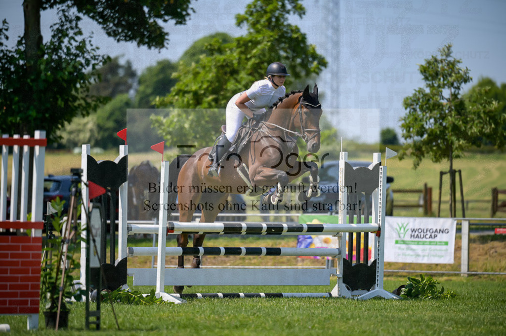 Reitturnier Voxtrup | Entdecke hochwertige Reitturnierfotos von Foto Oger. Professionell, emotional und authentisch – jetzt Lieblingsmomente im Shop bestellen.Deutschlandweite Turnierfotografie. - Realisiert mit Pictrs.com