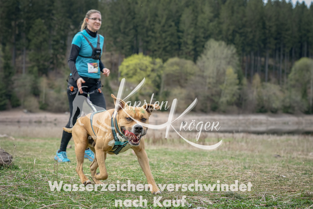 1833_ZZ99368-Bearbeitet-Bearbeitet | kk-dogfotos