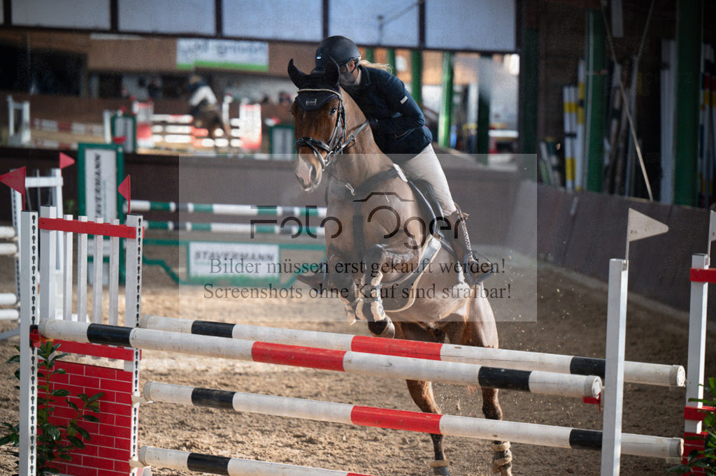 Hallenreittunier Voxtrup 2023 | Entdecke hochwertige Reitturnierfotos von Foto Oger. Professionell, emotional und authentisch – jetzt Lieblingsmomente im Shop bestellen.Deutschlandweite Turnierfotografie. - Realisiert mit Pictrs.com