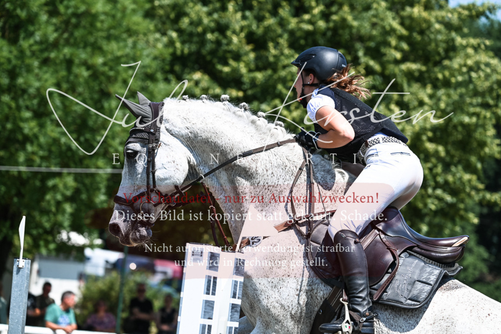 DSC_0299 | Pferde- und Turnierfotografie in Westsachsen. Pferdeportraits, Auftragszeichnungen und intuitive Kunst.