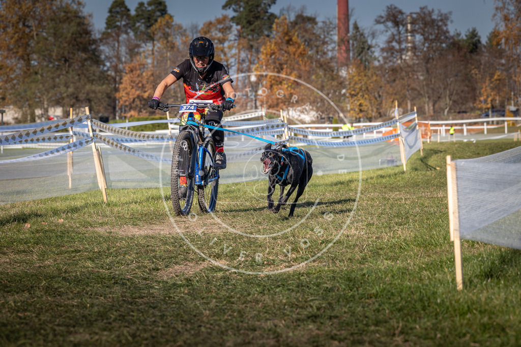 CaniXpix_0L8A6499 | Hundefotografie, Tierfotograf, Pfotenfotografie, Fotoshooting Hund, Hunde Portrait, Hundesport, Hundeportraits, Heideshooting, Hunde, Sportfotograf, Hundefotograf, Turnierhundsport, THS,  - Realisiert mit Pictrs.com
