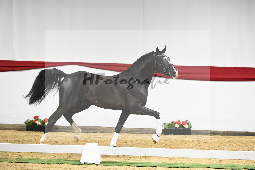 Kat-Nr. 17 v. Sezuan_Logpoint GmbH_63220515 | hf-fotografie - Realizzato con Pictrs.com