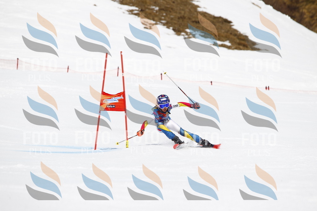 _U3G6643 | holidayphoto