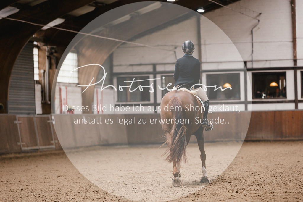 3I6A9071 | Stimmungsvolle Portraits und Reitsportfotografie im Ruhrgebiet und im Münsterland.

Pferdefotografie, Hundefotografie, Tierfotografie, Reportagen, Portraits von Tier und Mensch, Turnierfotografie in Bochum, Recklinghausen, Marl, Haltern am See, Dülmen.. - Realisiert mit Pictrs.com