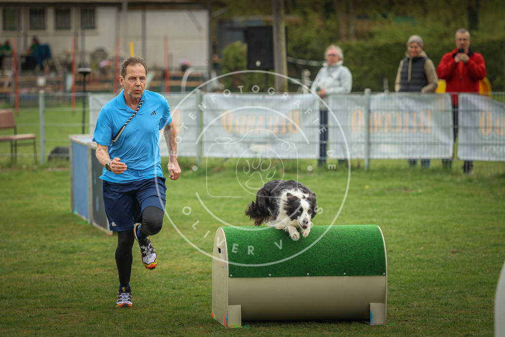 Pfotenfotografie_0L8A1184 | Hundefotografie, Tierfotograf, Pfotenfotografie, Fotoshooting Hund, Hunde Portrait, Hundesport, Hundeportraits, Heideshooting, Hunde, Sportfotograf, Hundefotograf, Turnierhundsport, THS,  - Realisiert mit Pictrs.com