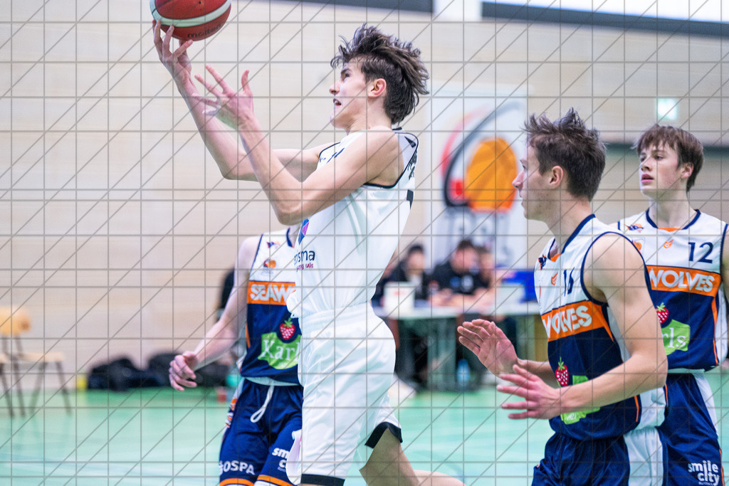 JBBL 24/25 | 19.01.2025 | Charisma Young Bulls vs. Rostock Seawolves | JBBL 24/25 | 19.01.2025 | Charisma Young Bulls vs. Rostock Seawolves - - - - - CREDIT, www.bullenfotos.de, Martin König, Hörner Weg 40, D-49078 Osnabrück, +4917663732967, Nutzung und Weitergabe nur zu den vereinbarten Zwecken. Presseanfragen an Urheber. Alle Rechte beim Urheber. - - - - - - Realisiert mit Pictrs.com