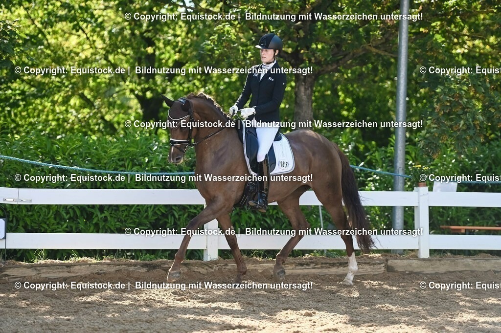 20230715_06_Dressurpferdeprfg. Kl.A_0411 | equistock