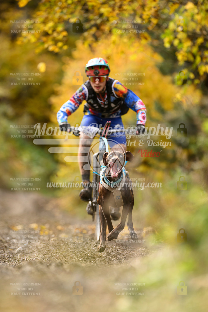 MompixPhotography_ICF_WC_2024_SA_Bike_-371 | PayLife