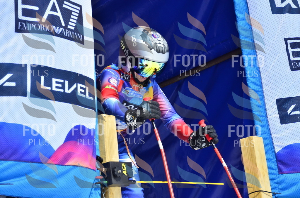 _ELE1282 | holidayphoto