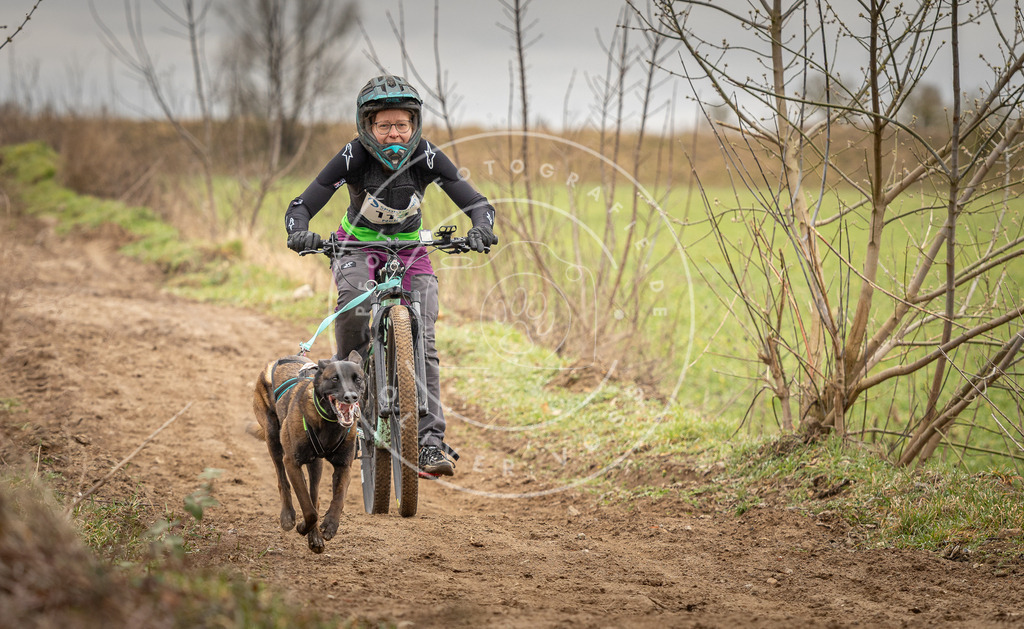 DV3A0861 | Hundefotografie, Tierfotograf, Pfotenfotografie, Fotoshooting Hund, Hunde Portrait, Hundesport, Hundeportraits, Heideshooting, Hunde, Sportfotograf, Hundefotograf, Turnierhundsport, THS,  - Realisiert mit Pictrs.com