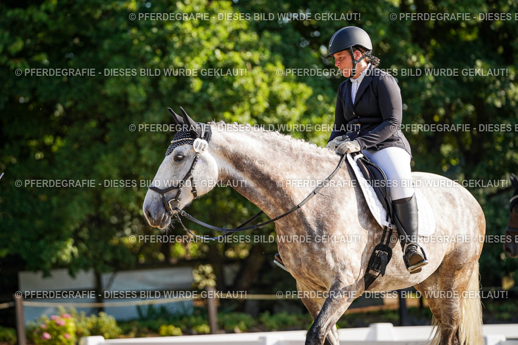 DSC08608 | Pferdegrafie