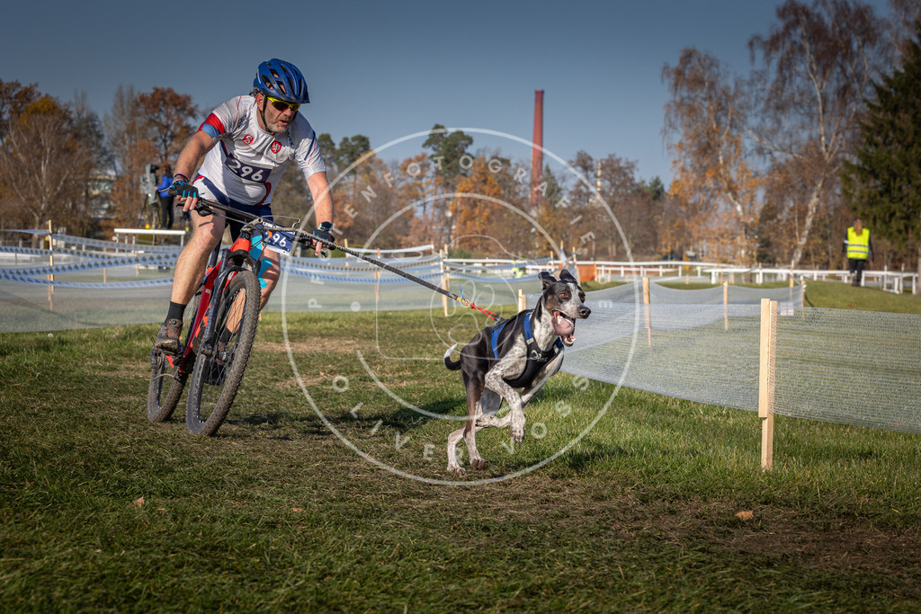 CaniXpix_0L8A7512 | Hundefotografie, Tierfotograf, Pfotenfotografie, Fotoshooting Hund, Hunde Portrait, Hundesport, Hundeportraits, Heideshooting, Hunde, Sportfotograf, Hundefotograf, Turnierhundsport, THS,  - Realisiert mit Pictrs.com