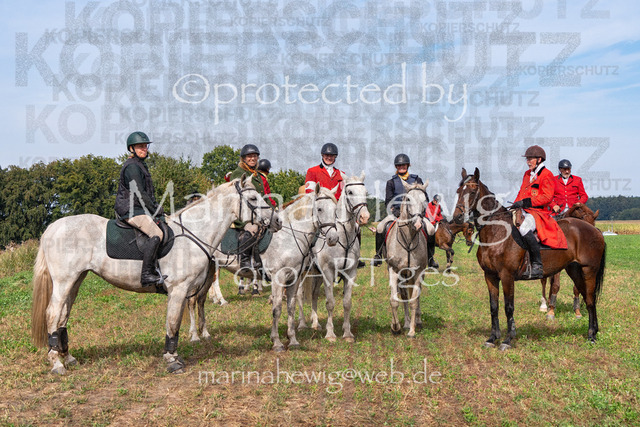 Jagd Perdoel_MarinaHewig_MCH7750 | Fotografie, FotoArt, PferdesportArt, Pferdesportfotografie, Landschaftsfotografie, Reisefotografie, Reise, Pferde - Realisiert mit Pictrs.com