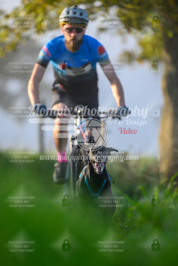 MompixPhotography_20TSB_E3_Bike-5 | PayLife