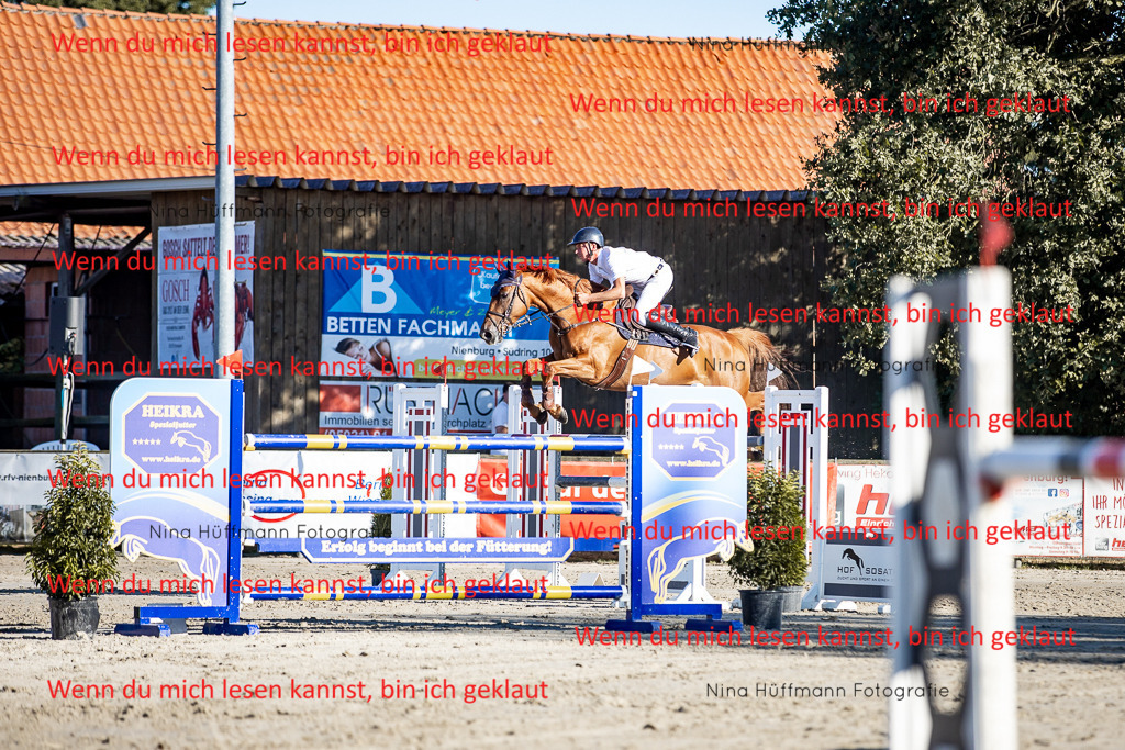 BK1A8260 | Turnierbilder Turnierfotos Nina Hüffmann Turnierfotografie Pferdefotografie Tierzeichnung Haustierzeichnung Pferdezeichnung Hundezeichnung Videograf  - Realisiert mit Pictrs.com