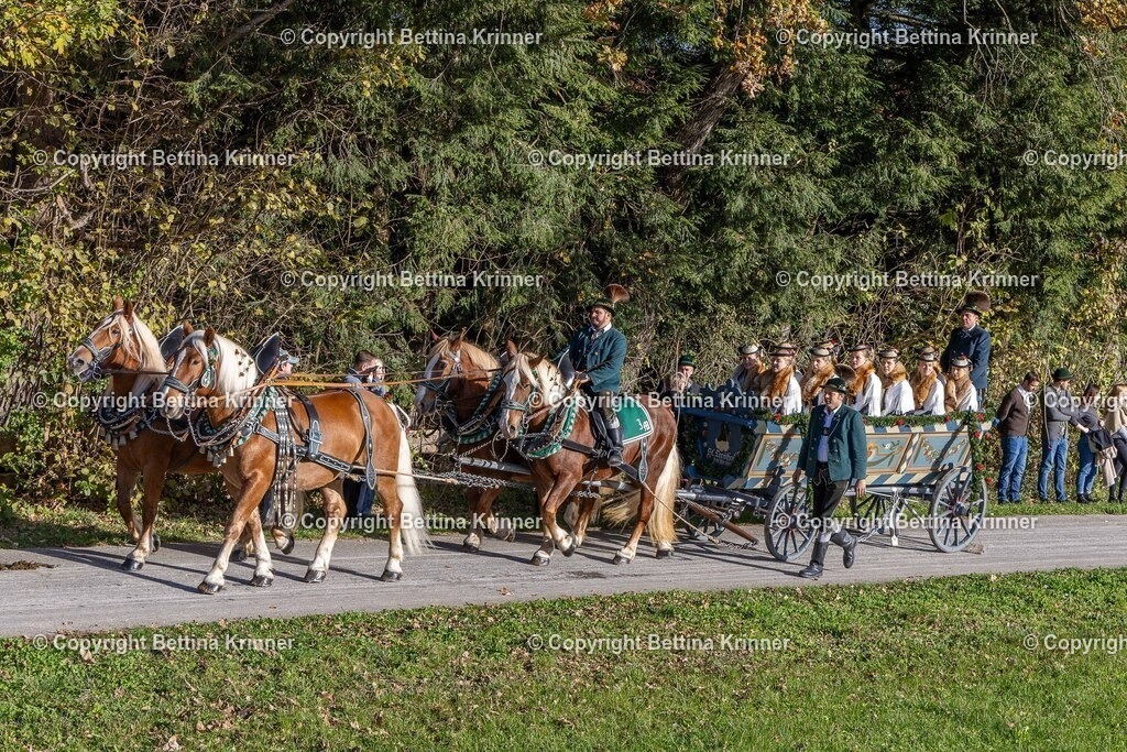 LBT24-298 | foto-bettina-krinner - Realisiert mit Pictrs.com