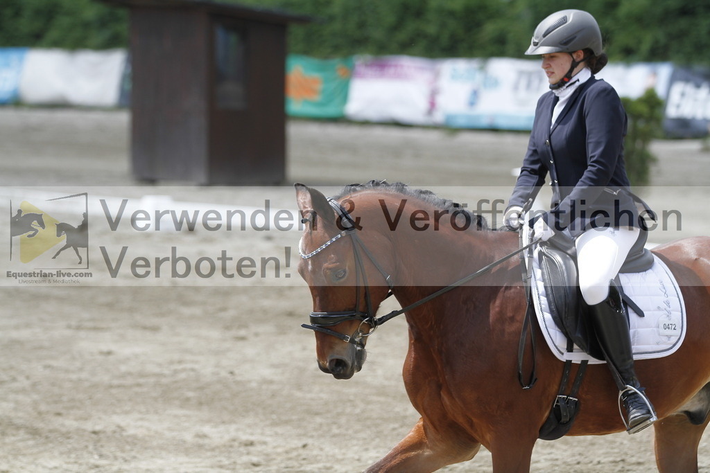 _MG_1442 | equestrian-live-com