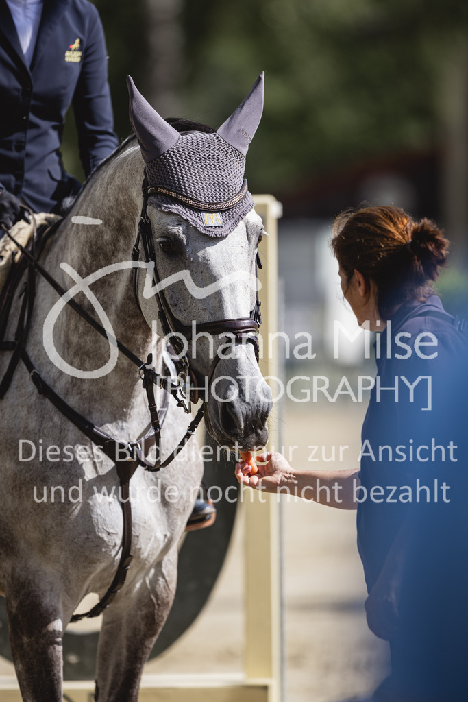 230826_Delbrueck_Youngster-M-546 | Deine schönsten Turniermomente als professionelle Fotos! Entdecke hochwertige Pferdesport-Fotografie im Online-Shop. Jetzt Fotos finden & bestellen!