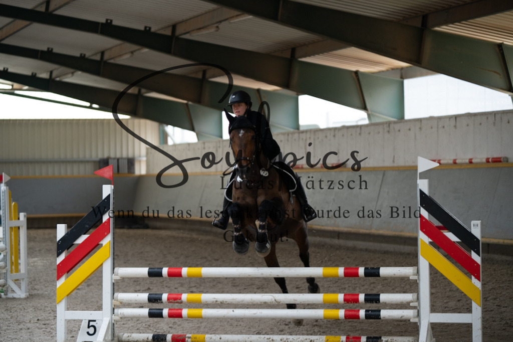 A7V07967 | Pferdefotograf