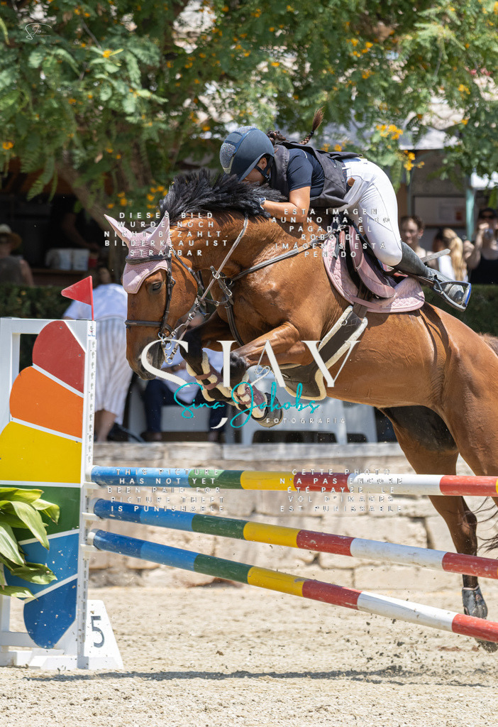 IMG_6670 | s-jay-photography - Realisiert mit Pictrs.com